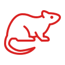 Icône dératisation