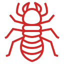 Icône d'insectes xylophages