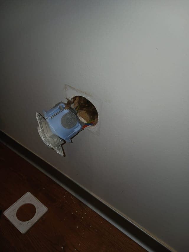 Intervention dératisation