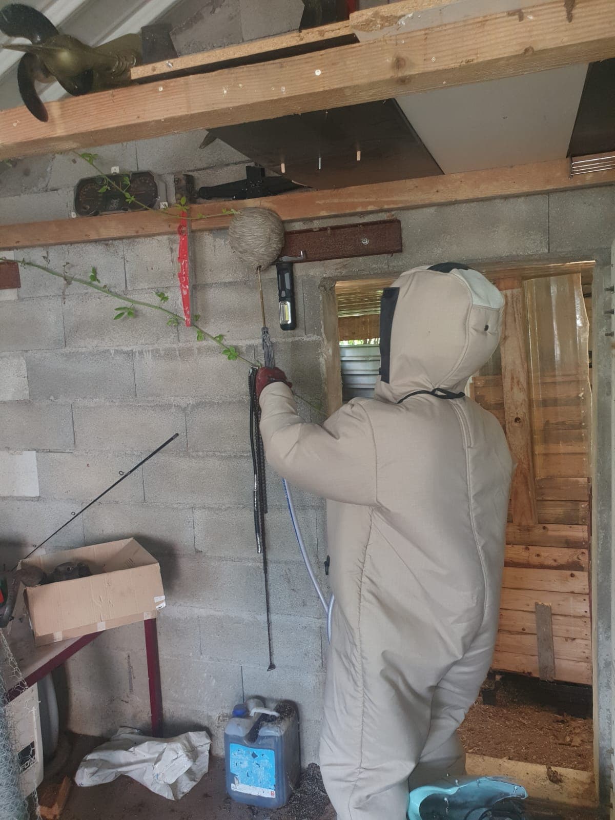 Technicien traitant un nid de frelons à Plancher-Bas