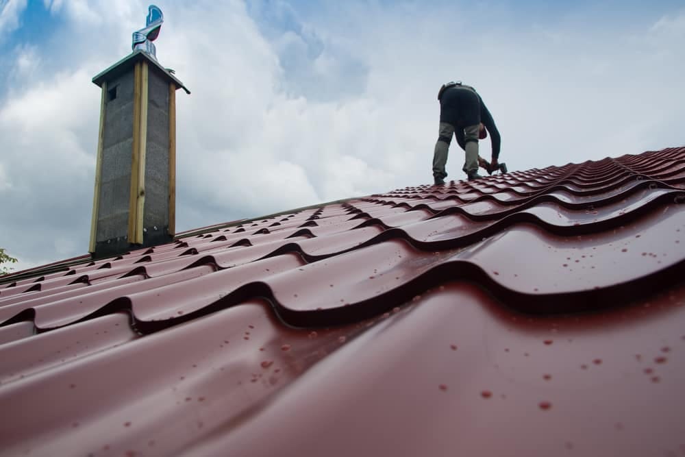 Technicien JS Services Nuisibles en intervention sur une toiture